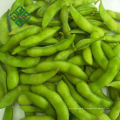 haricots verts congelés en vrac